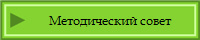 Методический совет